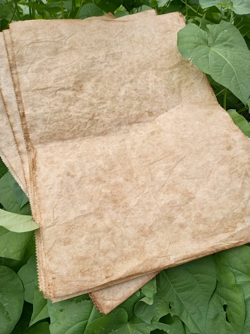 Parchment Paper